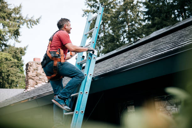 Best Roof Leak Repair  in Winnsboro, TX