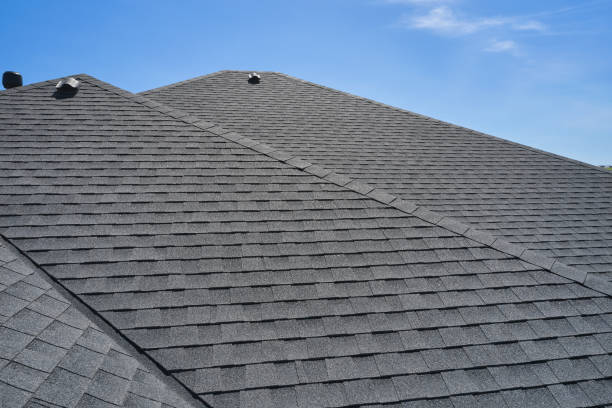 Best Roof Moss and Algae Removal  in Winnsboro, TX